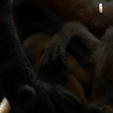 layer3-365