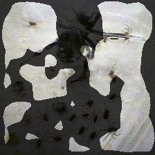 layer3-959