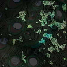 layer2-213