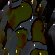 layer2-460