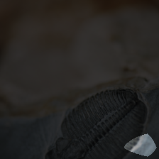 layer4-781