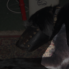 layer4-2021