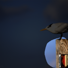layer4-685