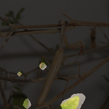 layer3-384