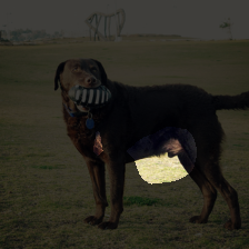 layer3-898