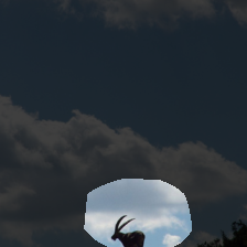 layer4-159