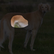 layer3-423