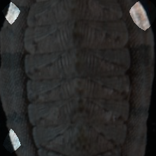 layer4-375