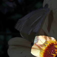 layer4-554
