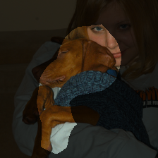 layer4-554