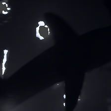 layer1-239
