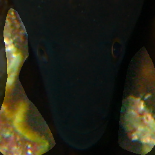 layer4-267