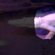 layer4-690