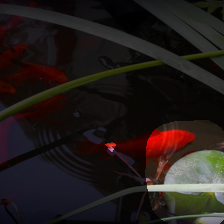 layer4-186