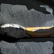 layer3-36