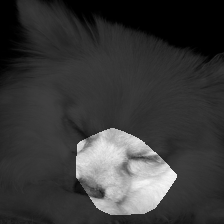 layer4-1378