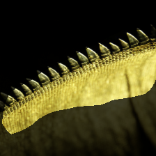 layer4-552