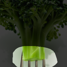 layer4-2020