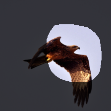 layer4-763