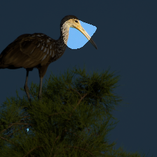 layer3-518