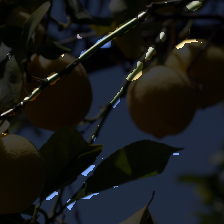 layer1-162