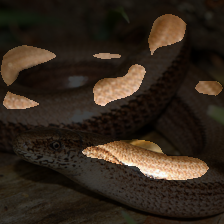 layer3-565