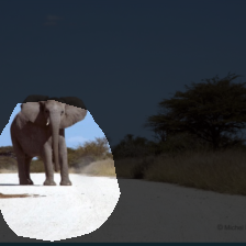 layer4-1146