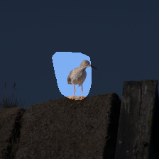 layer4-1332