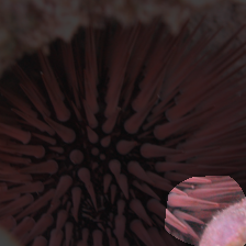 layer4-22
