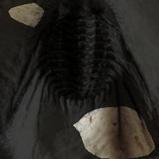 layer4-637