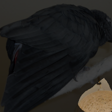 layer4-637