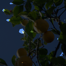 layer2-236