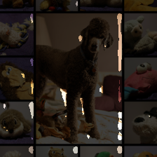 layer1-226
