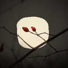 layer4-669