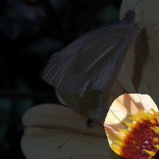 layer4-669
