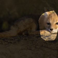 layer4-367