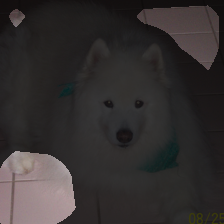 layer4-1342