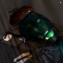 layer3-247