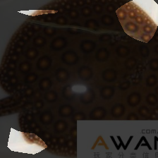 layer4-403