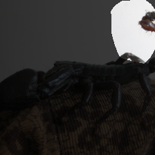 layer4-911