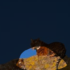 layer4-1775