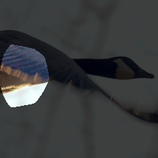 layer4-1775