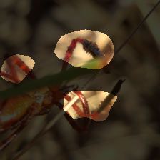 layer3-993