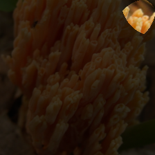 layer4-1471