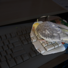 layer4-179