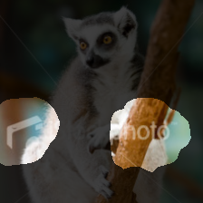 layer3-20