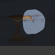 layer4-581