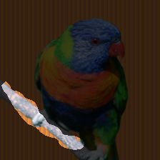 layer3-556