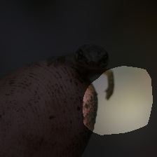 layer4-13