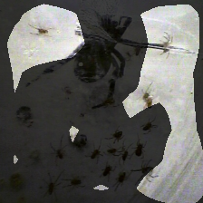 layer4-165